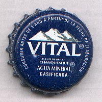 Chanqueahue Vital Agua Mineral